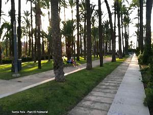 41 SANTA POLA ANTIQUE MUSEE (75)